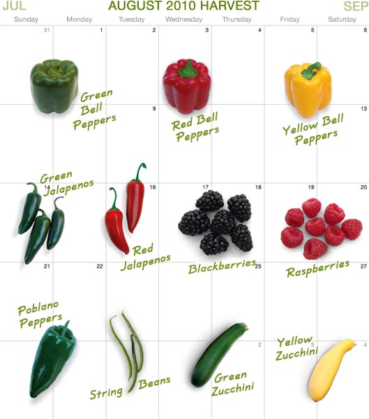 Calendar_sep10