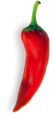 Pepper_anaheim_red